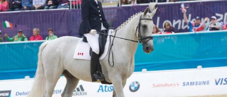 disabled equestrian competitor riding a white horse in an arena